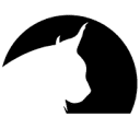Wildcat SEO logo