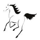 Wild Horse Creative Logo