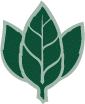 Wildmint Media Logo