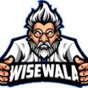 WiseWala Web Design Logo