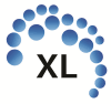XL Consulting Group Logo
