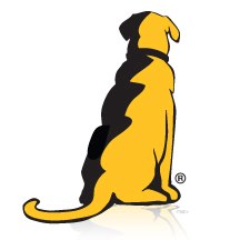 YellowDog Productions LLC Logo