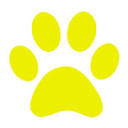 Yellow Dog Website Design Logo