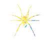 Yellow Spider Media Ltd Logo