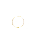 Zayam Designs Logo