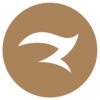 Zed+Zed+Eye Design Logo