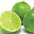 Zesty Lime Design Logo