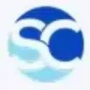 RWS Consulting logo