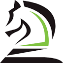 Strategies, Ltd. logo