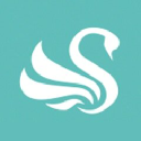Absolute Media North East logo