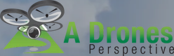 A Drones Perspective Logo