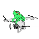 Aerial Frog LLC Logo