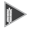 AgriStudios Logo