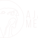 Ajax Media Logo