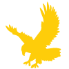 AkilaLightPro Logo