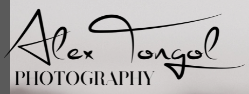 Alex Tongol Photography Logo