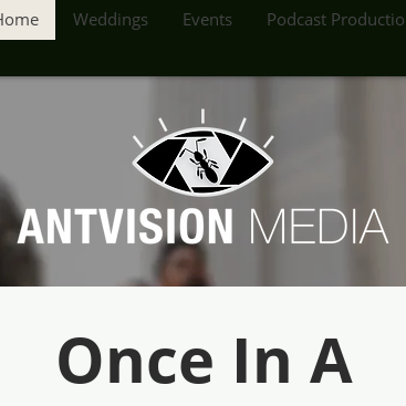 AntVision Media LLC Logo