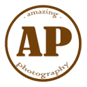 AP Studio Photography Logo