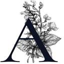 Avonne Photo Studios Logo