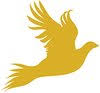 Ayriel Studios logo