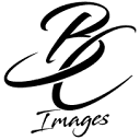 BC Images logo