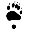 Bear Notch Productions Logo