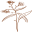 Bec Zacher Photo & Films Logo