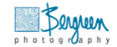 Bergreen Photography Logo