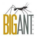 Big Ant Video Ltd Logo