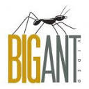 Big Ant Video Ltd logo