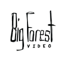 Big Forest Video, LLC Logo