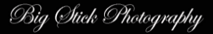 Big Stick photography logo