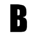Blackbird Media Group Inc Logo