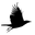 Blackbird Productions Company logo