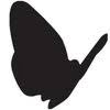 Black Butterfly Productions Logo