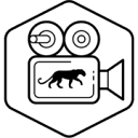 Black Cat Visuals Logo