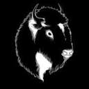 Blind Bison Studios LLC Logo