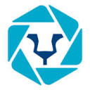 Blue Lion Multimedia Logo