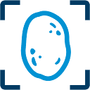 Blue Potato Media Logo