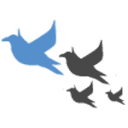 BLUERAVENstudios.com, Inc. logo