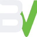 BlurredVisualsLLC Logo