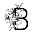 Bmore Visuals Logo