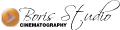 Boris Studio Logo