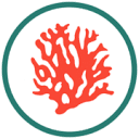 Bright Coral Creative Logo