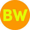 BrightWon LLC Logo