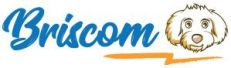 Briscom  Logo