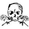 Broadside Visuals logo