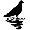 Broken Dove Productions Logo