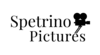 Capture It All Logo