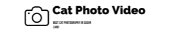 Cat Photo Video Logo
